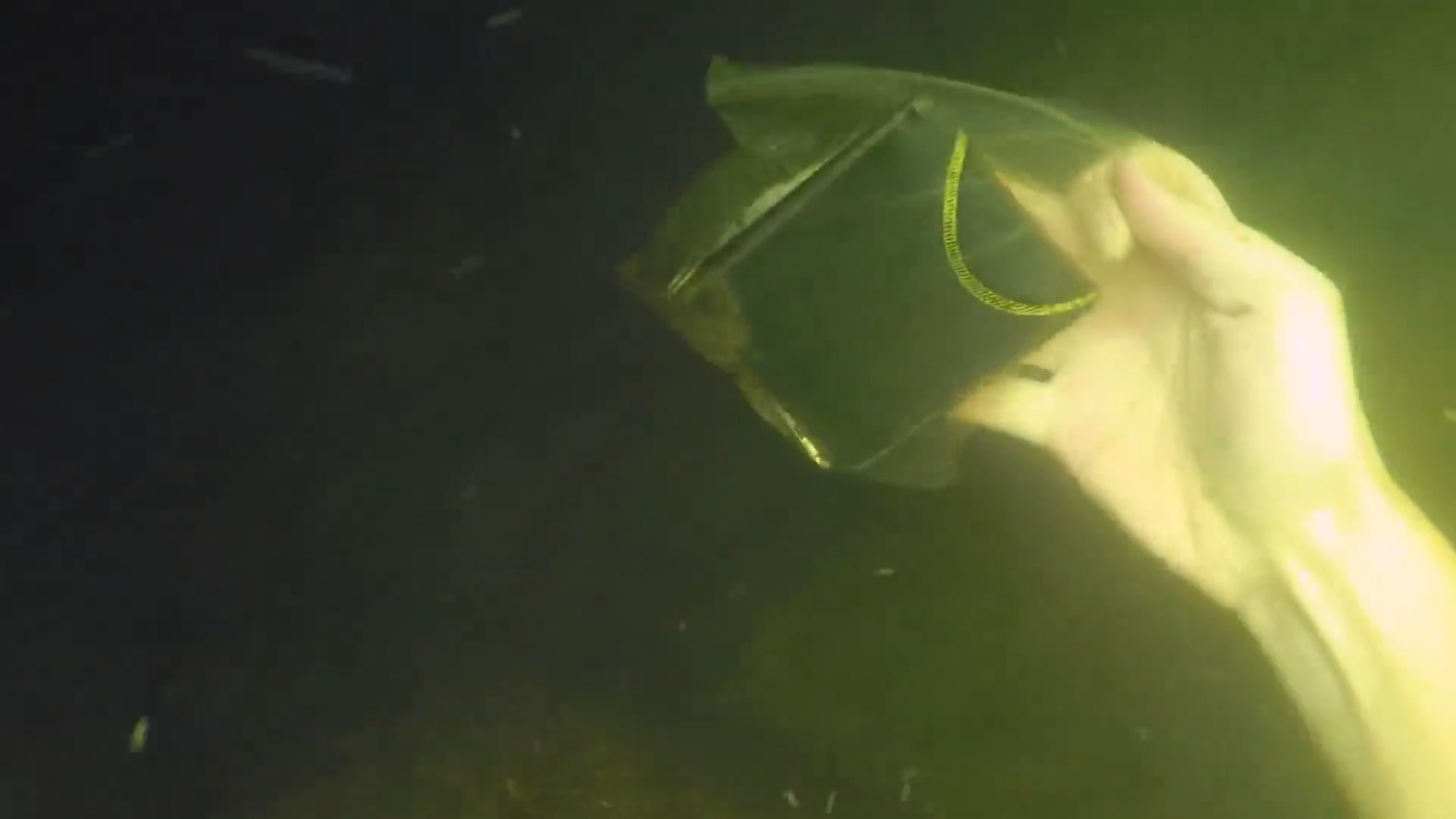 River recovery: Full baggie found underwater - owner’s reaction was unreal