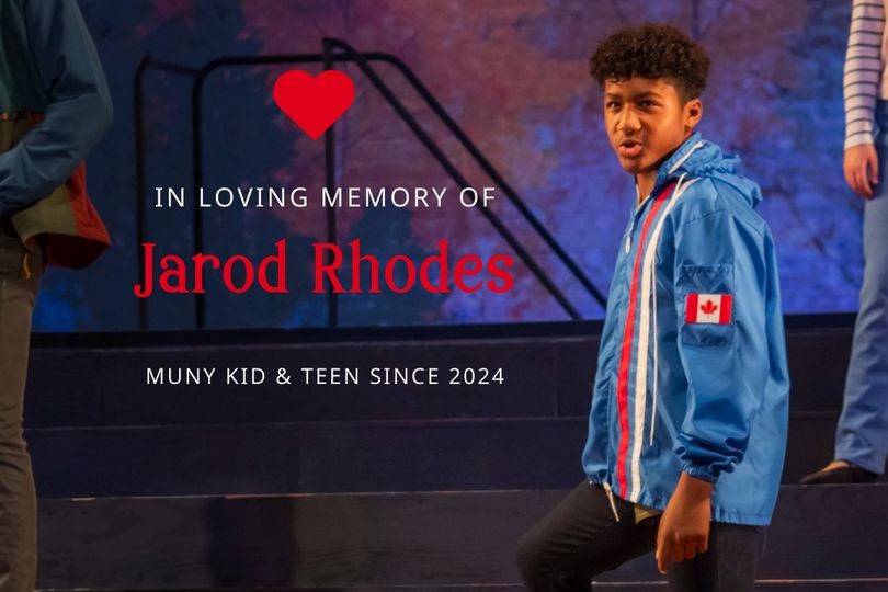 Illinois child actor dies at age 15 after shooting incident in his home