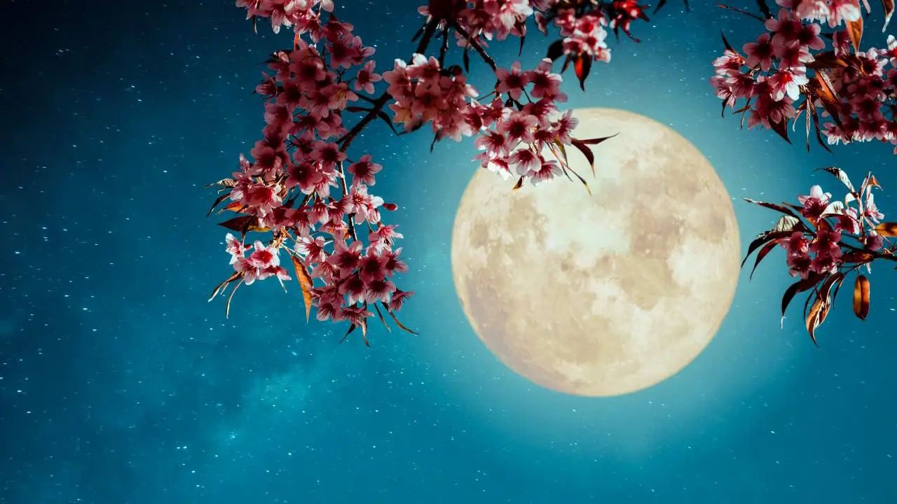 Luna llena de marzo de 2026 con eclipse lunar: Es momento de ...