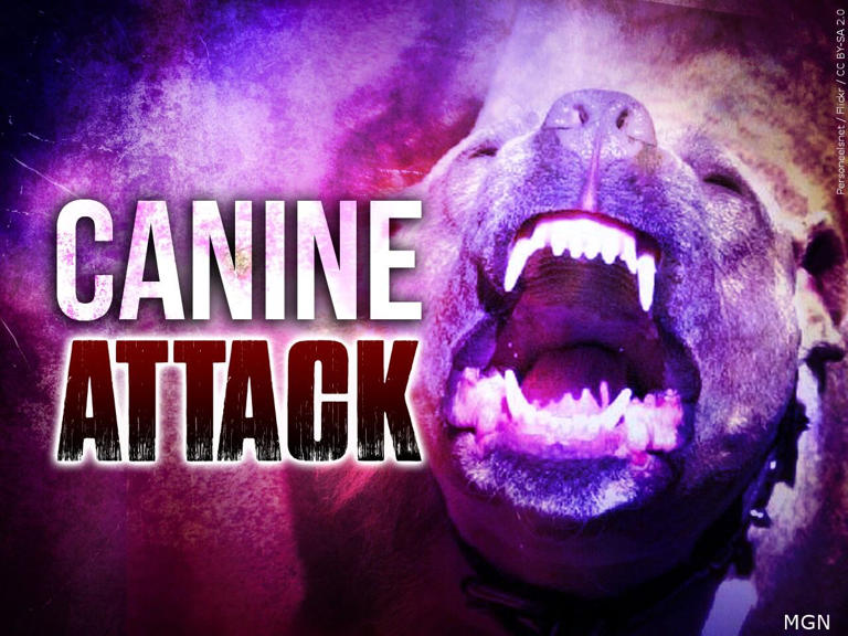 Deputies: Elderly woman dies after attack by three dogs in NC
