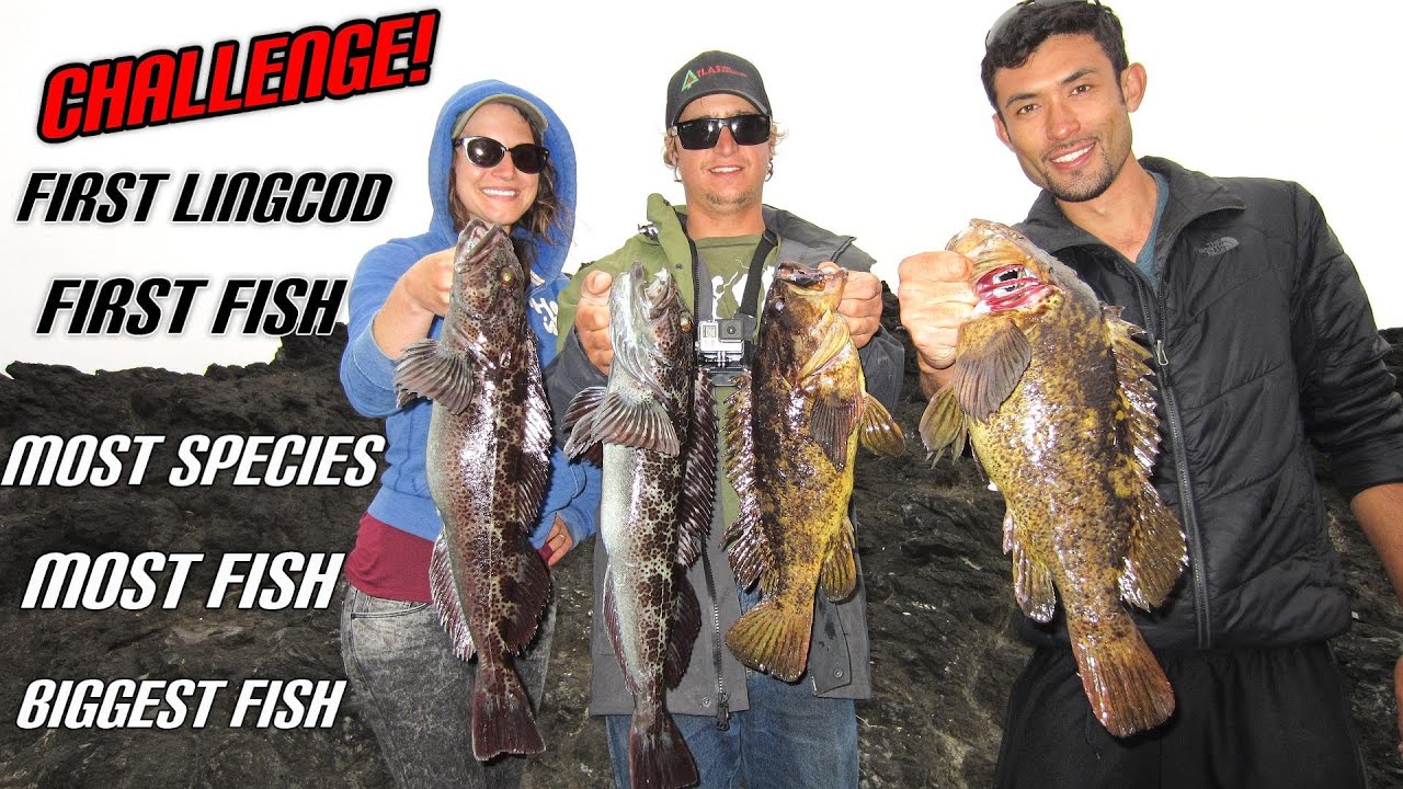 Rockcod lingcod fishing challenge!