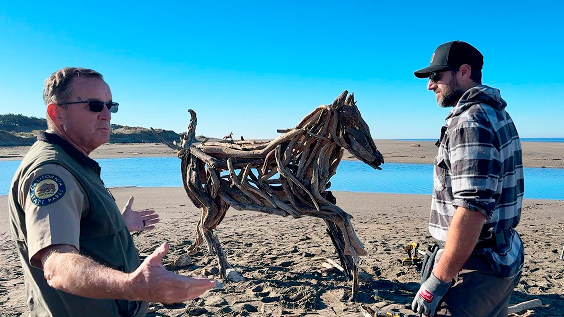 Somebody called the ranger because of my sculpture