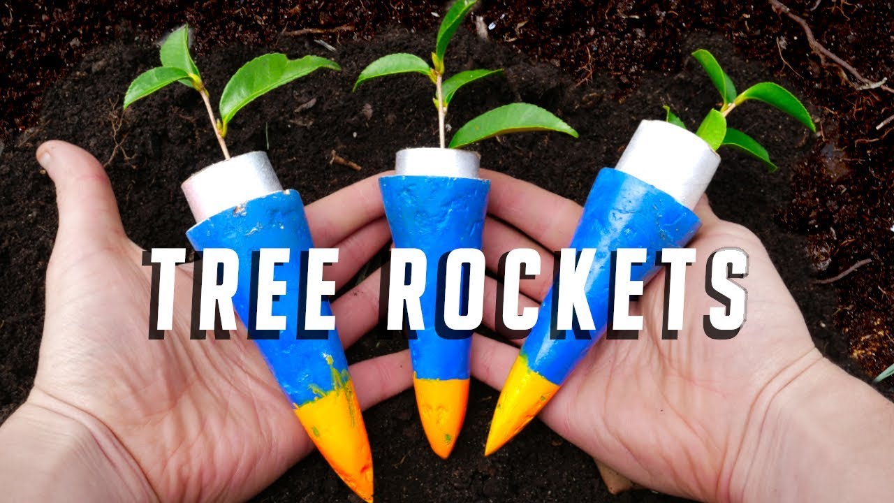 Can rockets be used to plant trees?