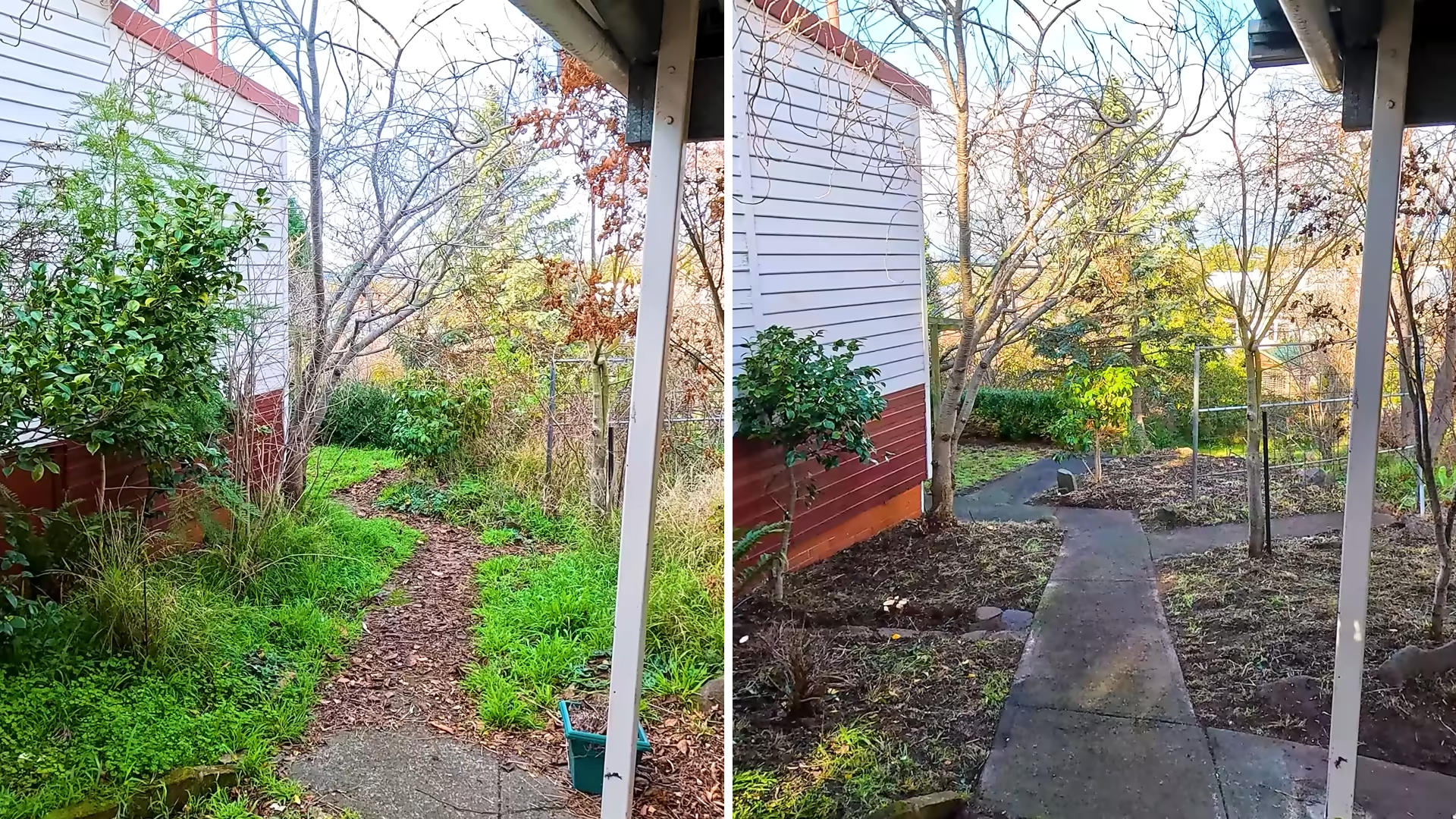 Satisfying yard cleanup you have to see!