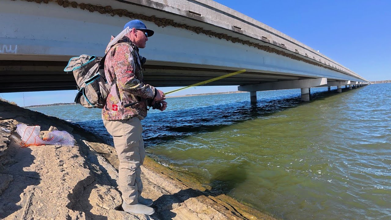 Fishing for a meal beneath the bridge