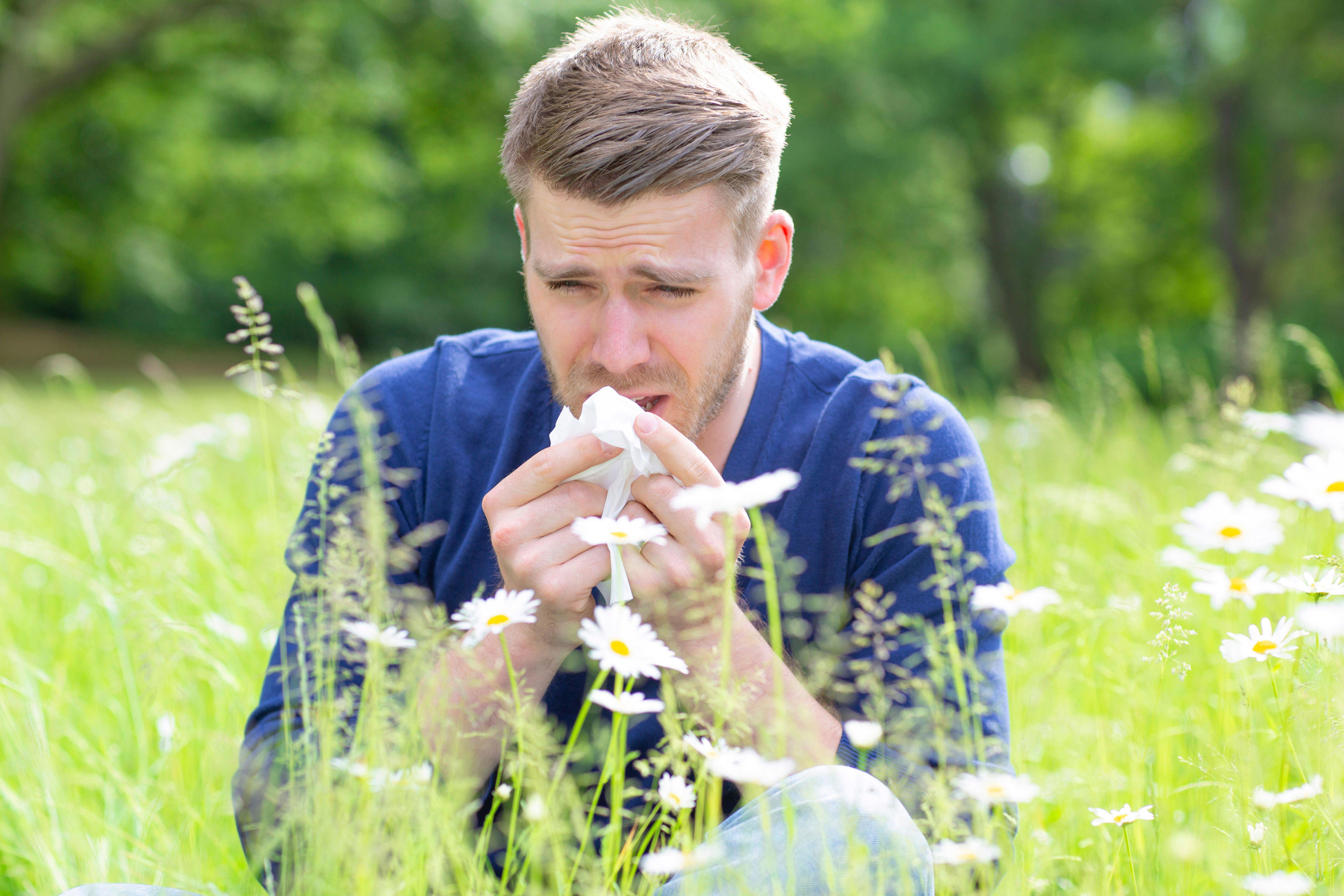 Hay fever season is approaching. Here’s how to prepare for it