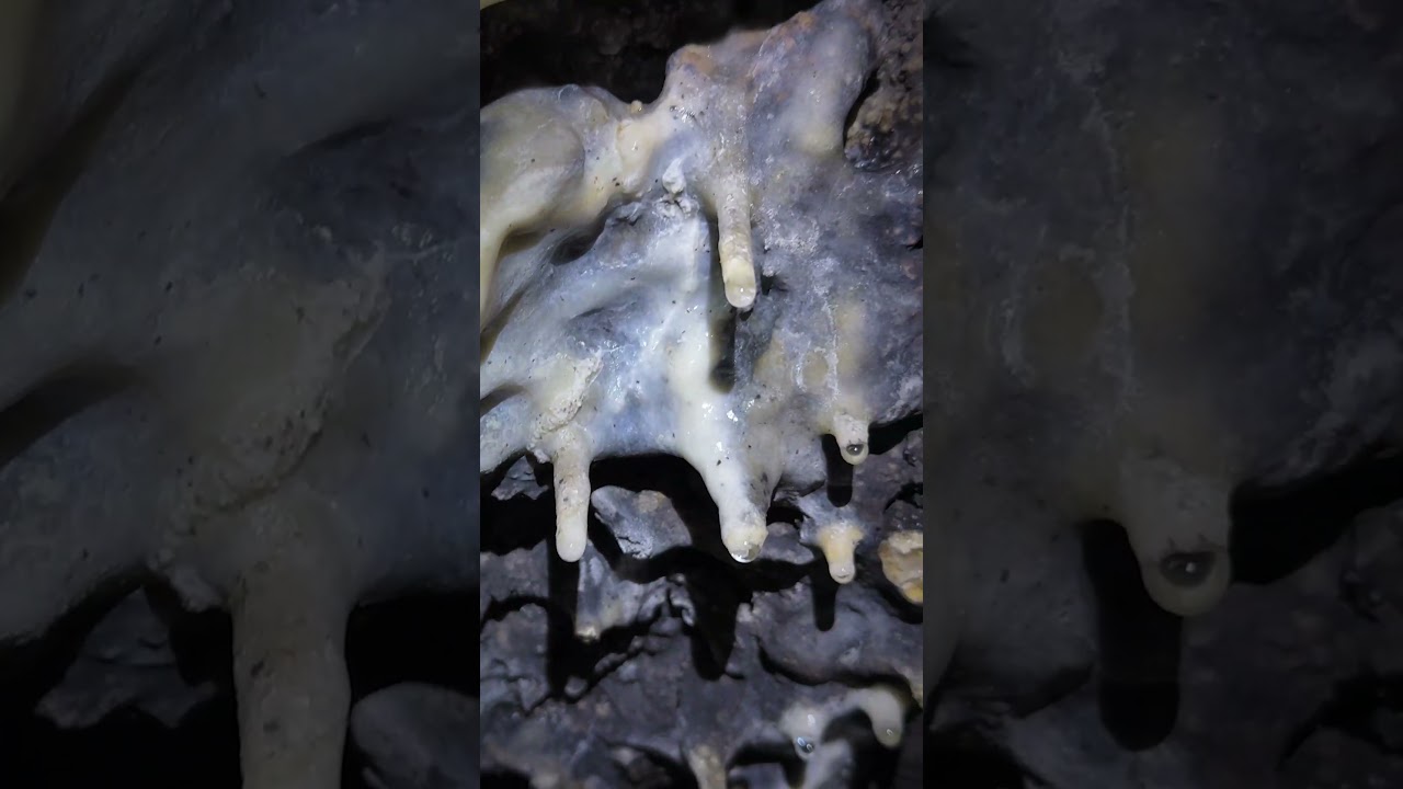 We found something terrifying in this cave