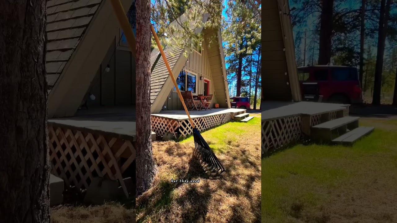 Tiny homestead & cabin spring projects