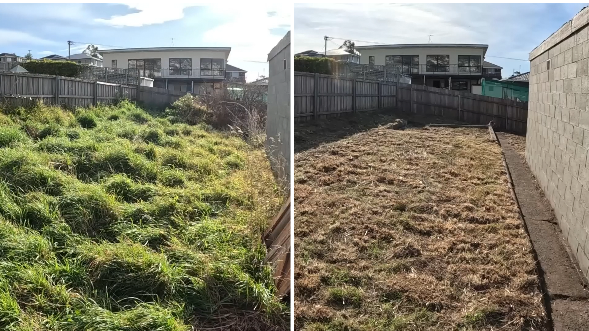 Transforming a wild garden into a beautiful space
