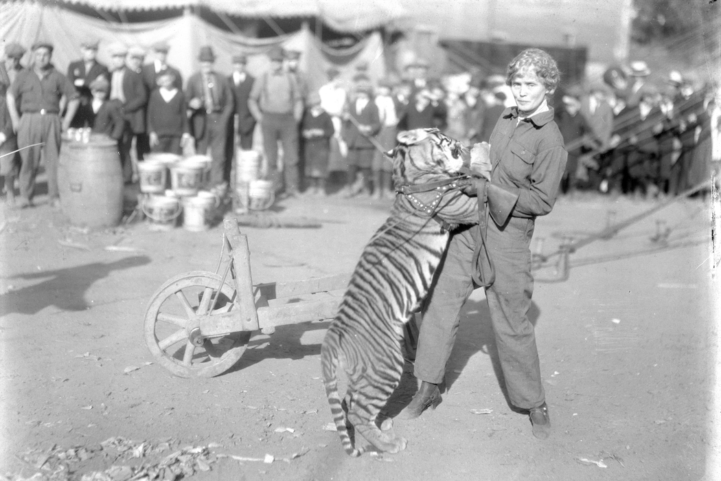 The inspiring and tragic story of Mabel Stark, America’s most famous ...