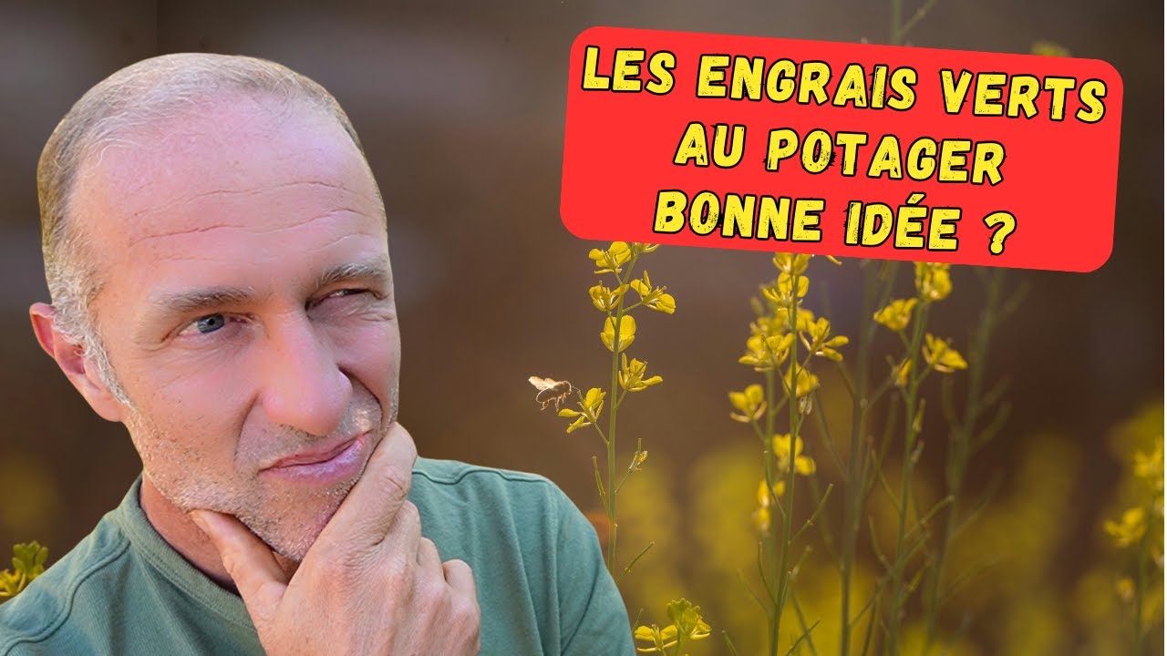 Engrais verts cet automne boostez votre potager! — free download