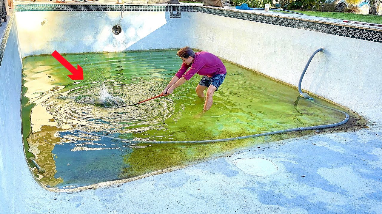 What was living in the abandoned pool? We caught it