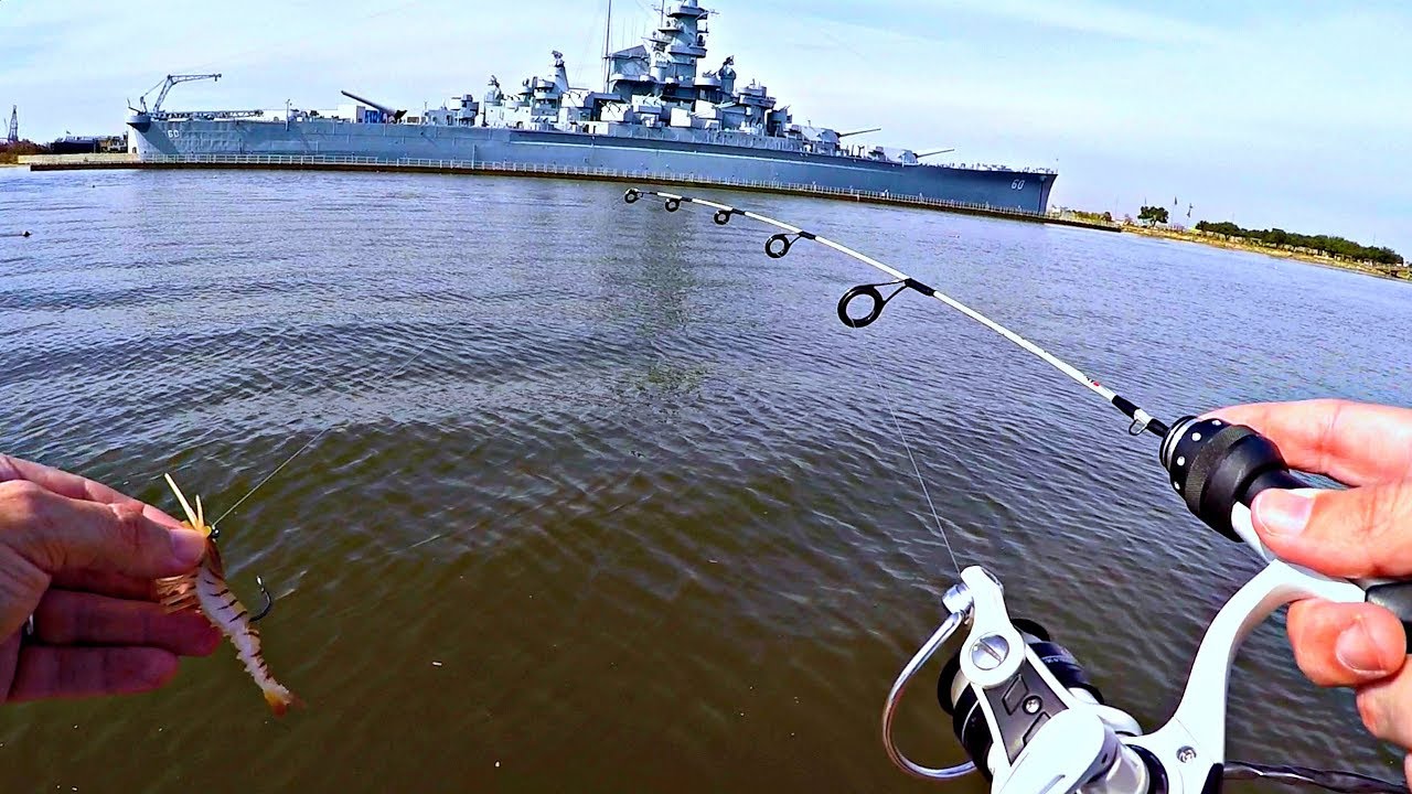 Micro fishing for the perfect pond pet