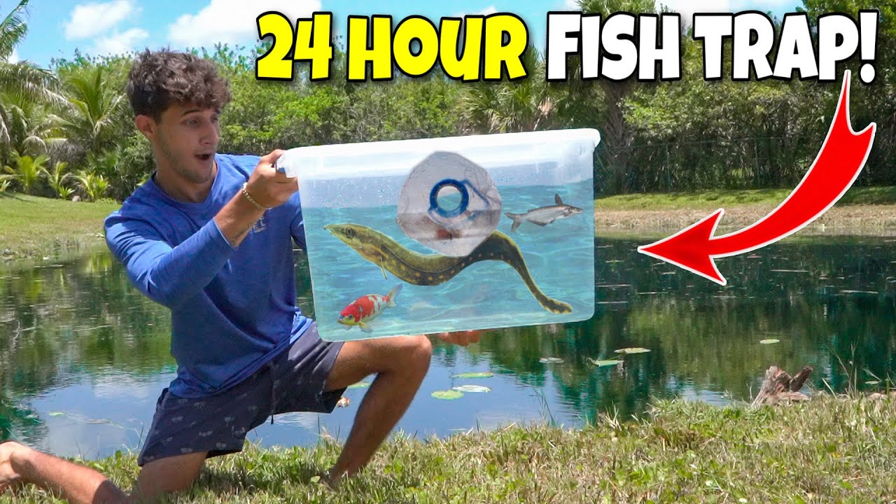 24 hour fish trap catches mystery fish in my backyard pond!