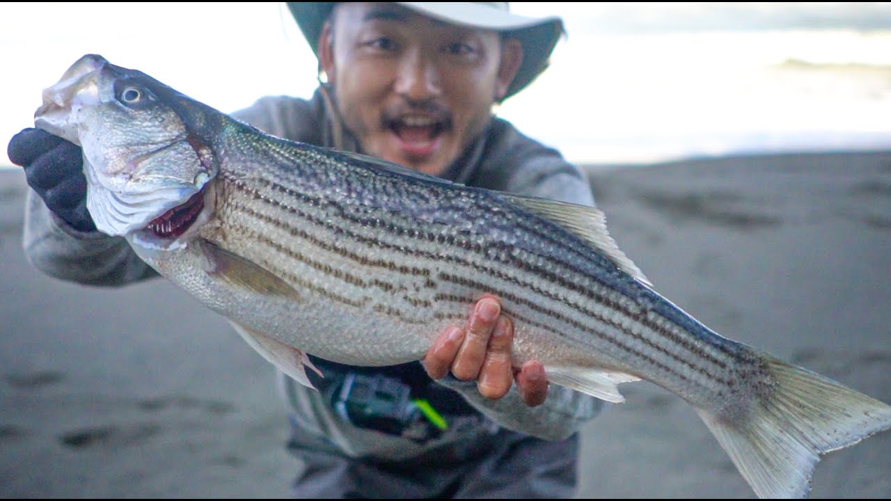 Best striped bass catch and cook experience!