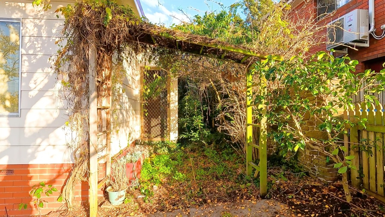 The ultimate garden makeover you won't believe!