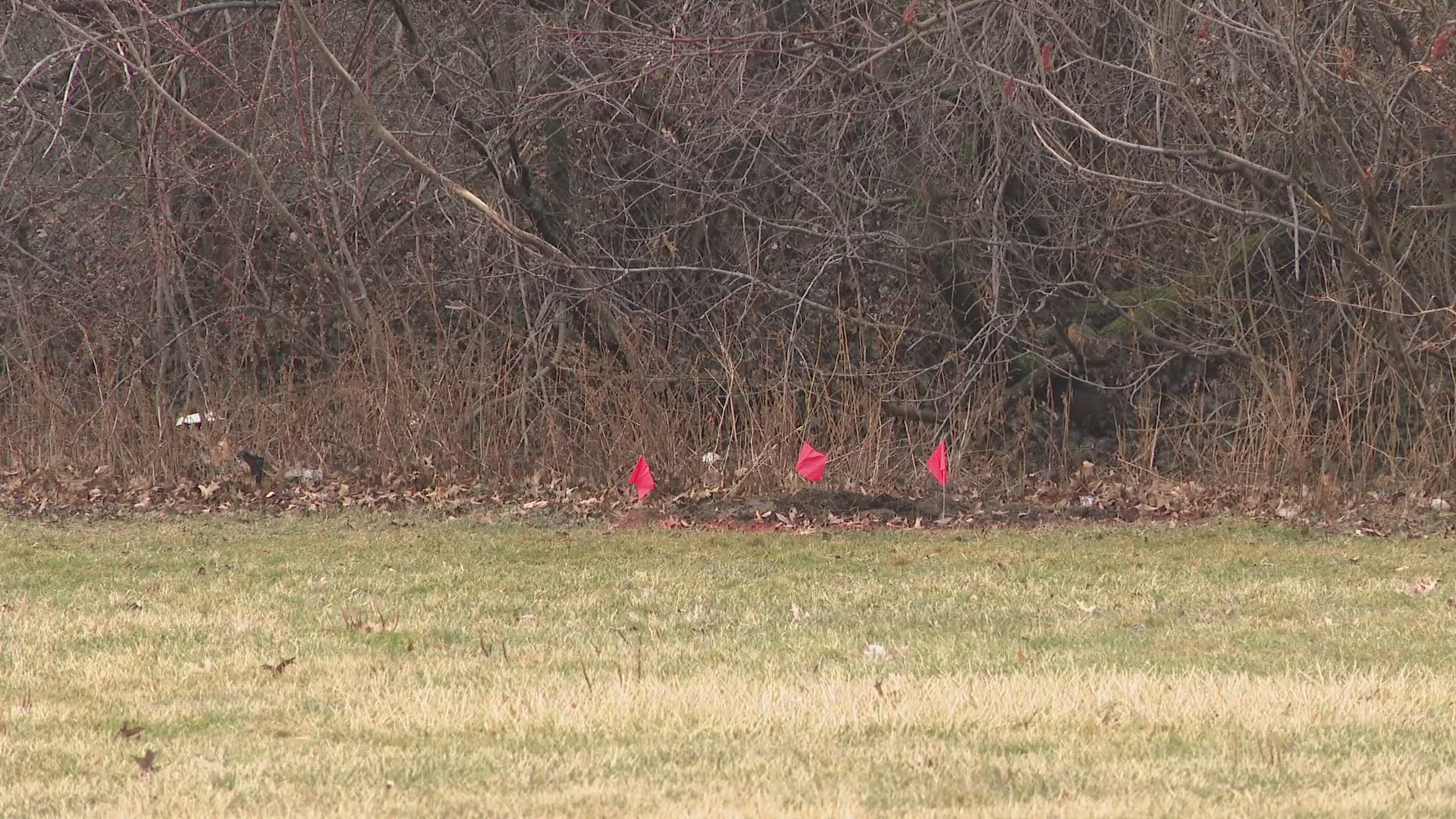 Cleveland police say bodies of two young girls were found in suitcases ...