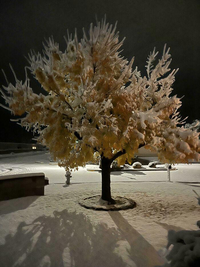 These 48 mildly interesting pics are actually pretty intriguing