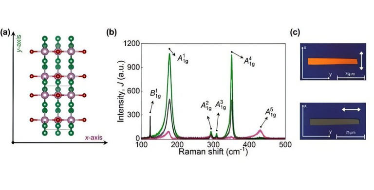 From hyperbolic in-plane anisotropy to an optical chirality: A new ...