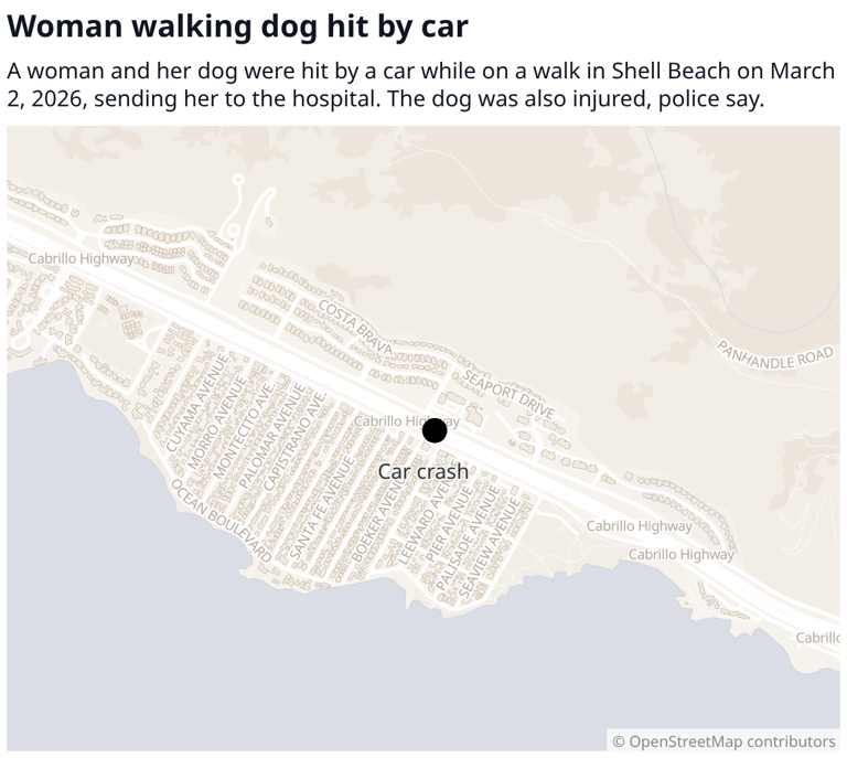 Woman, dog injured after being hit by car while walking in SLO County