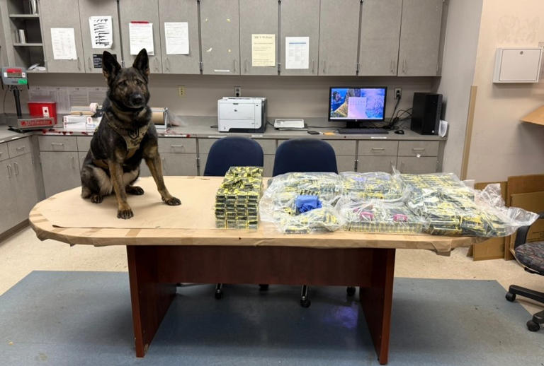 $1M+ worth of THC vape pens seized in NC task force drug bust, deputies say