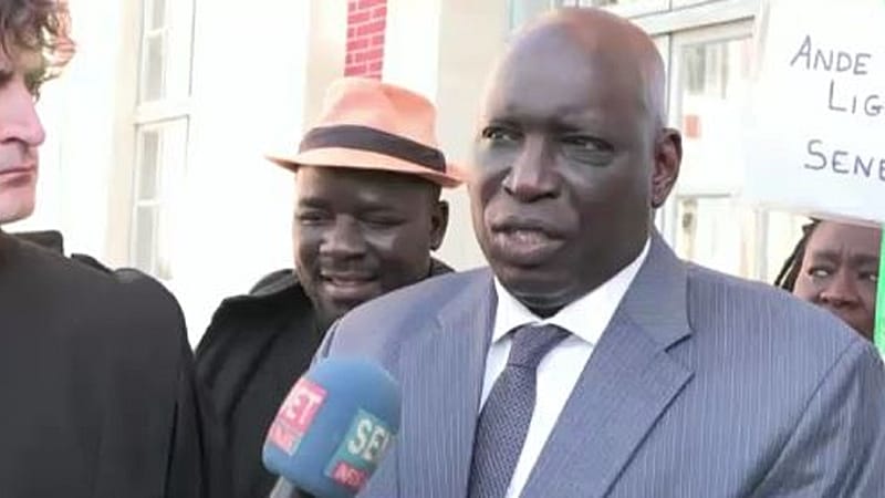 French court rules partially in favor of extraditing Senegalese media ...