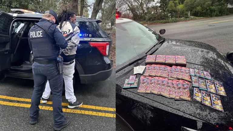 Citrus Heights police arrest man accused of stealing Yu-Gi-Oh!, Magic ...