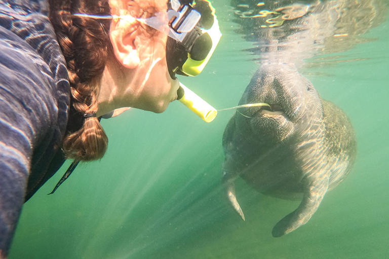 In this Florida town you share the water with 10,000-pound locals and ...