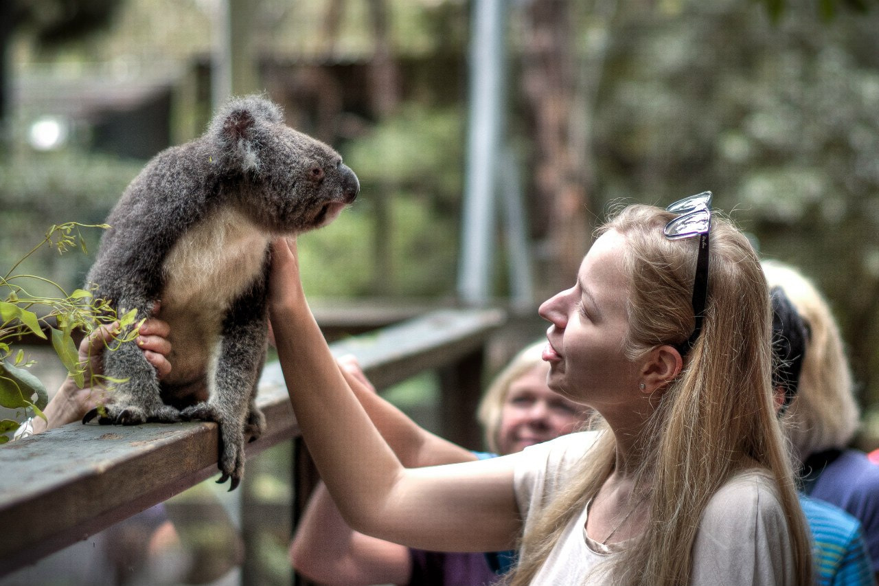 AI is learning to talk to animals – and they're responding