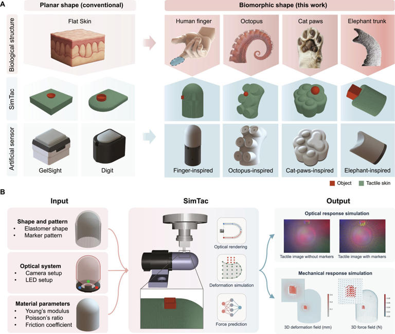Simulated cats and elephants with touch-based memory help usher in new ...