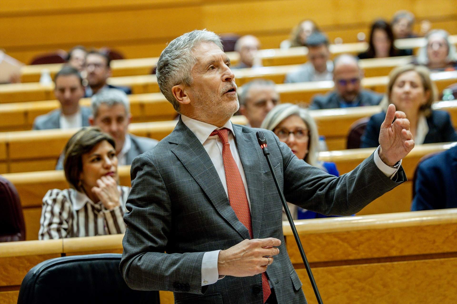 Marlaska llama "niña" e "inmadura" a la portavoz del PP en el Senado ...