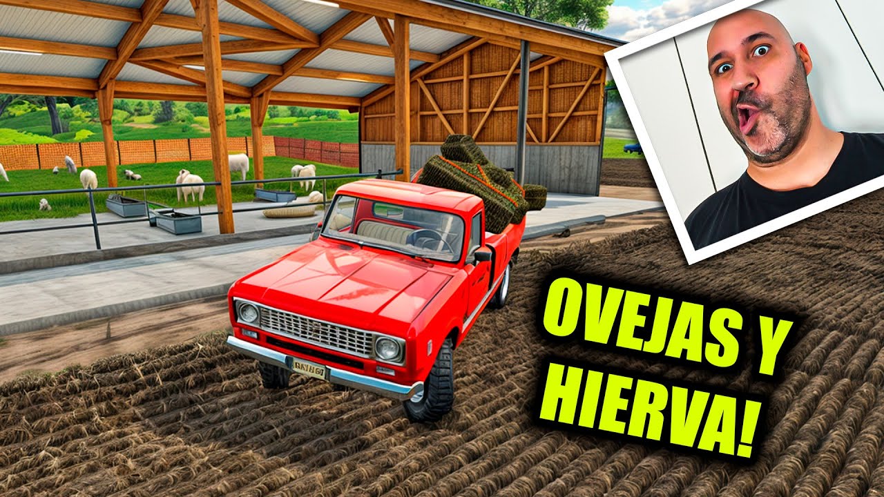 Compro ovejas y cultivo prados de hierba en Farming Simulator 25