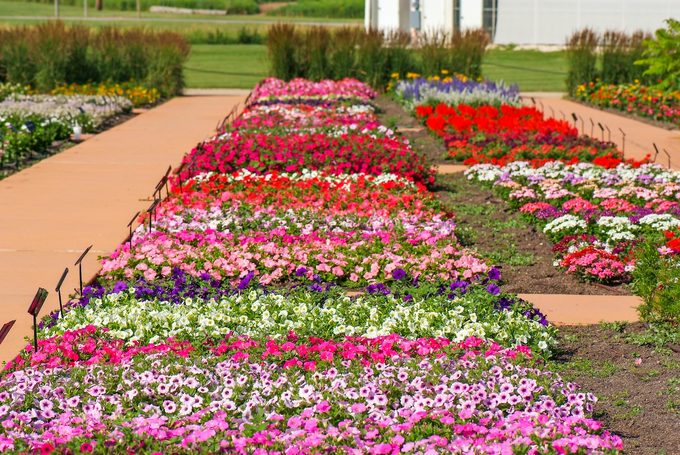 Thegardensatball