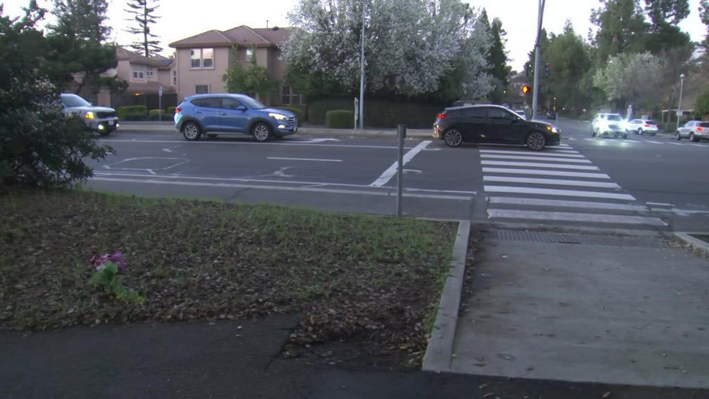 Davis woman, 60, dies after 2 bicyclists collide on bike path