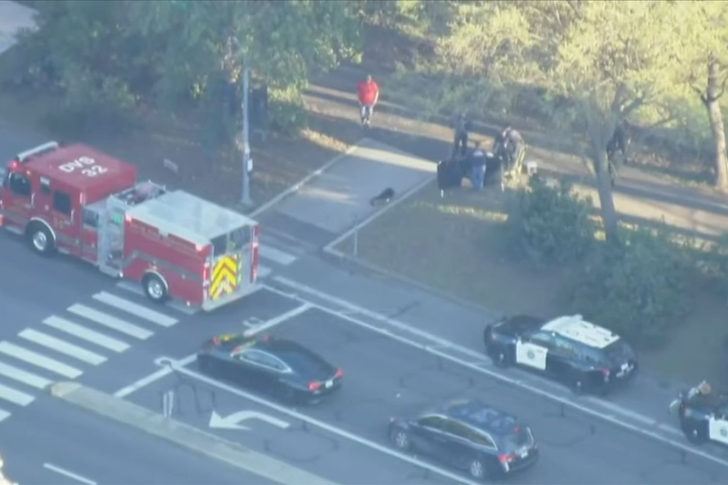 Cyclist dies after colliding with young e-bike rider on bike path near ...