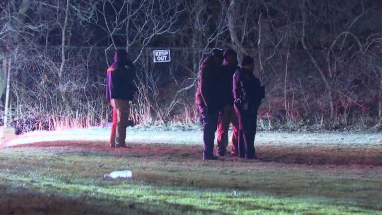 Mother charged with murder after girls found dead in suitcases