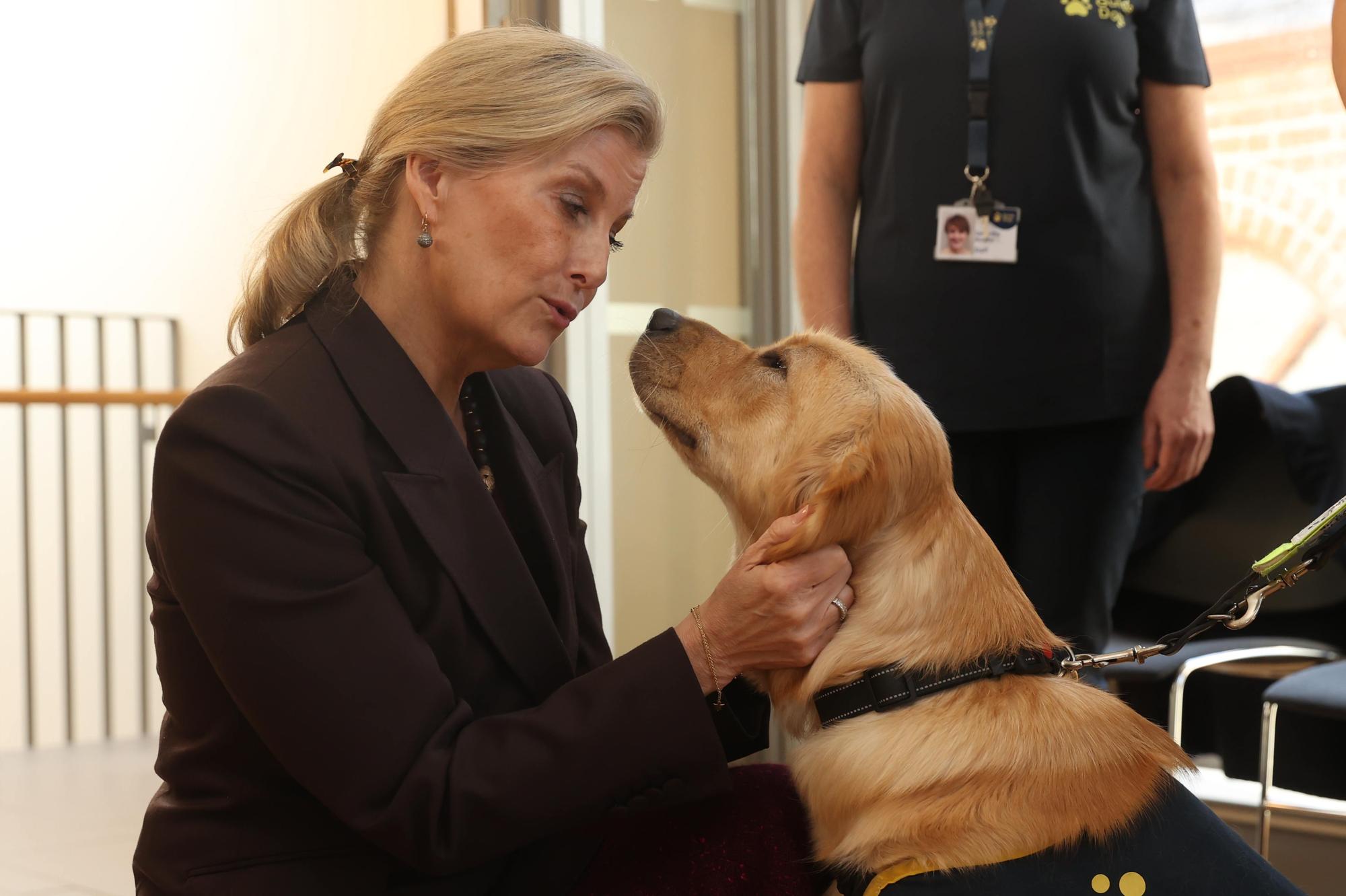 Duchess of Edinburgh celebrates 40 years of Guide Dogs for the Blind on ...