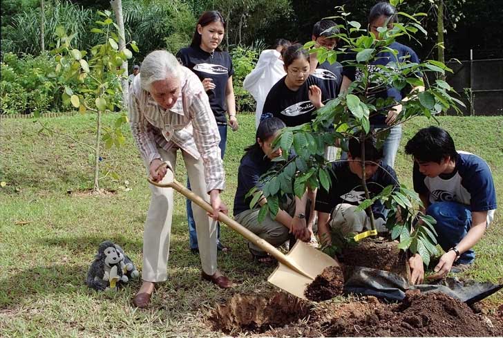 April 3 is officially declared 'Jane Goodall Day,' a new holiday ...