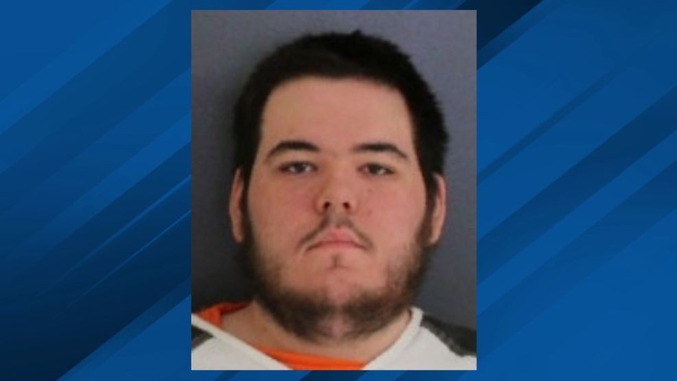 Otsego County man facing charges for online sexual material