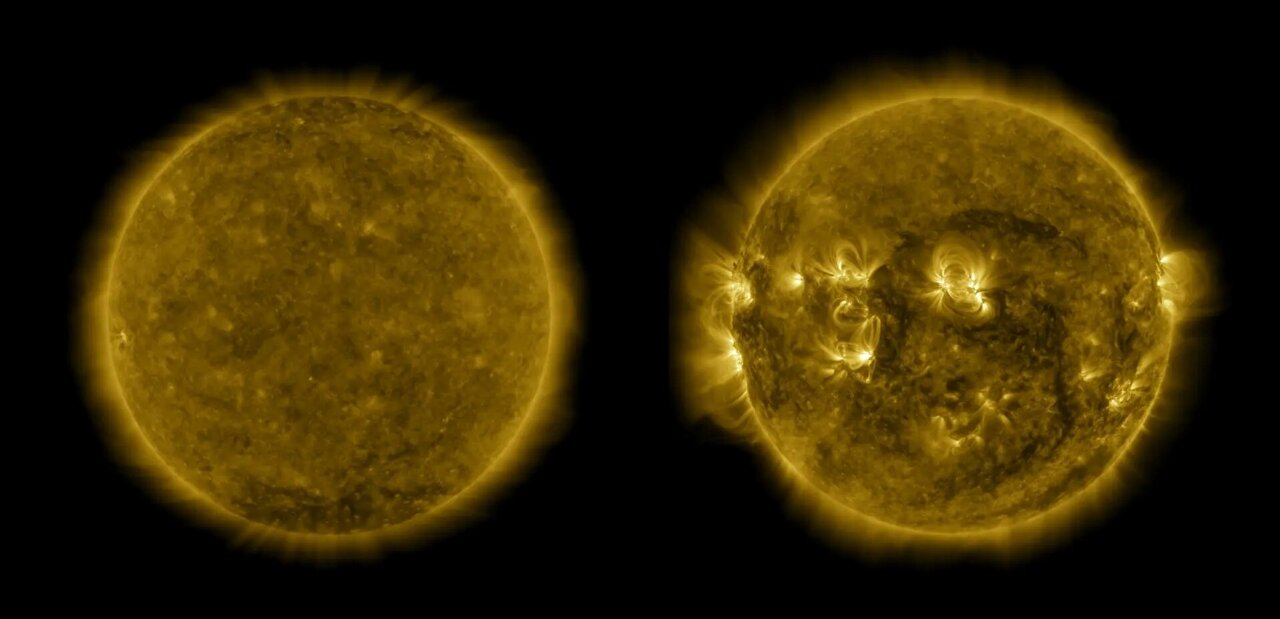 Four decades of data give unique insight into the sun's inner life