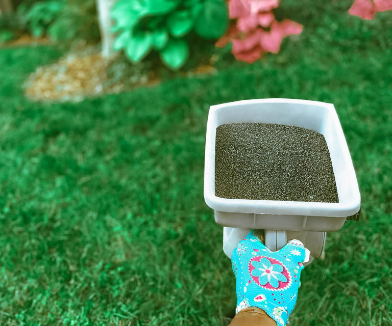What is fertilizer burn? Signs you're overfeeding your plants & what to ...