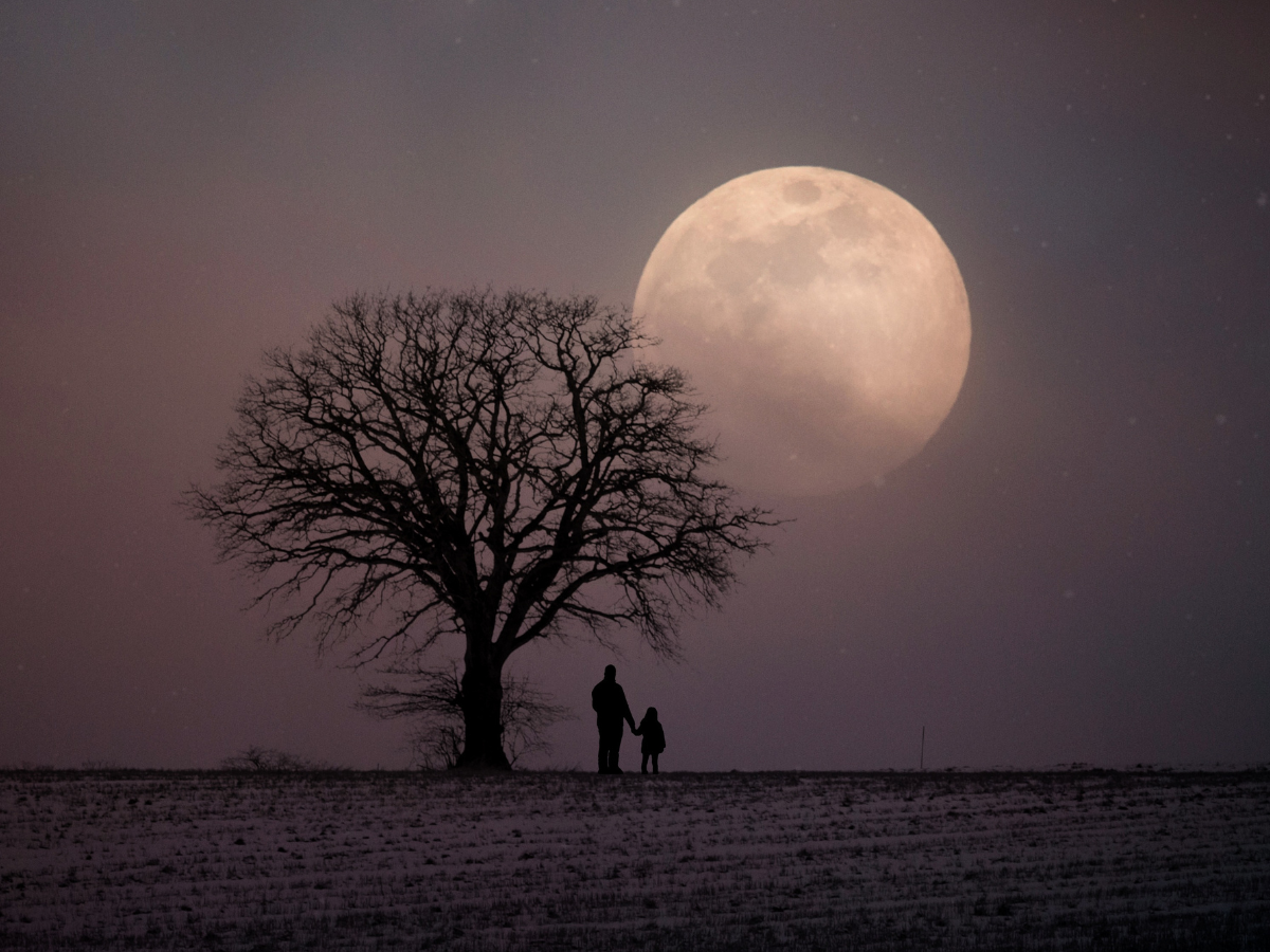 Is the Moon shrinking? Scientists explore what would happen if Earth’s ...