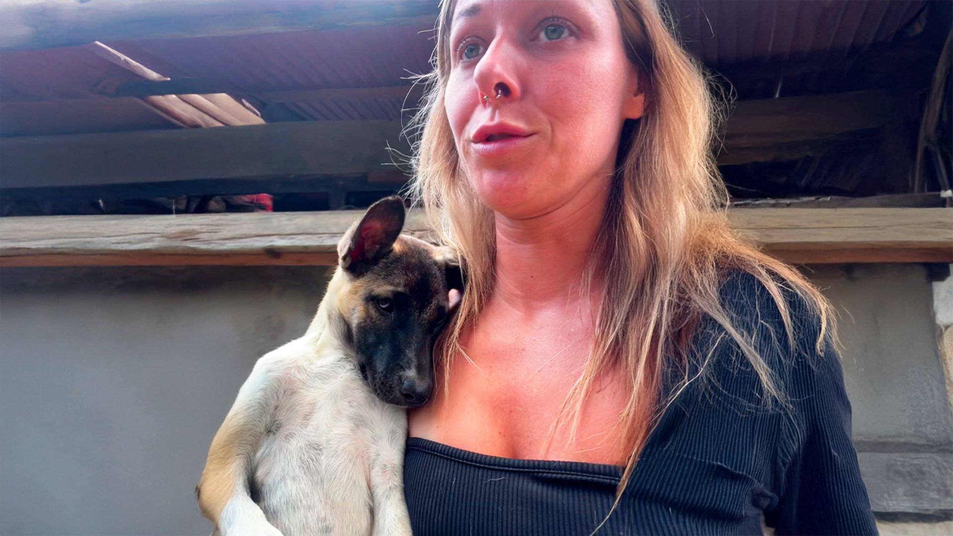 Woman rescues nine dogs left in house without water<br><br>