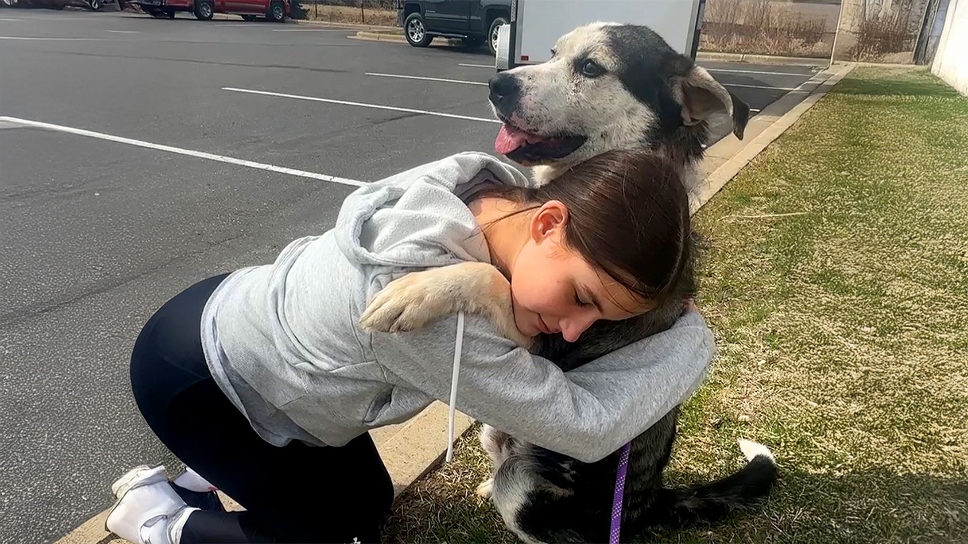 Watch senior dog who