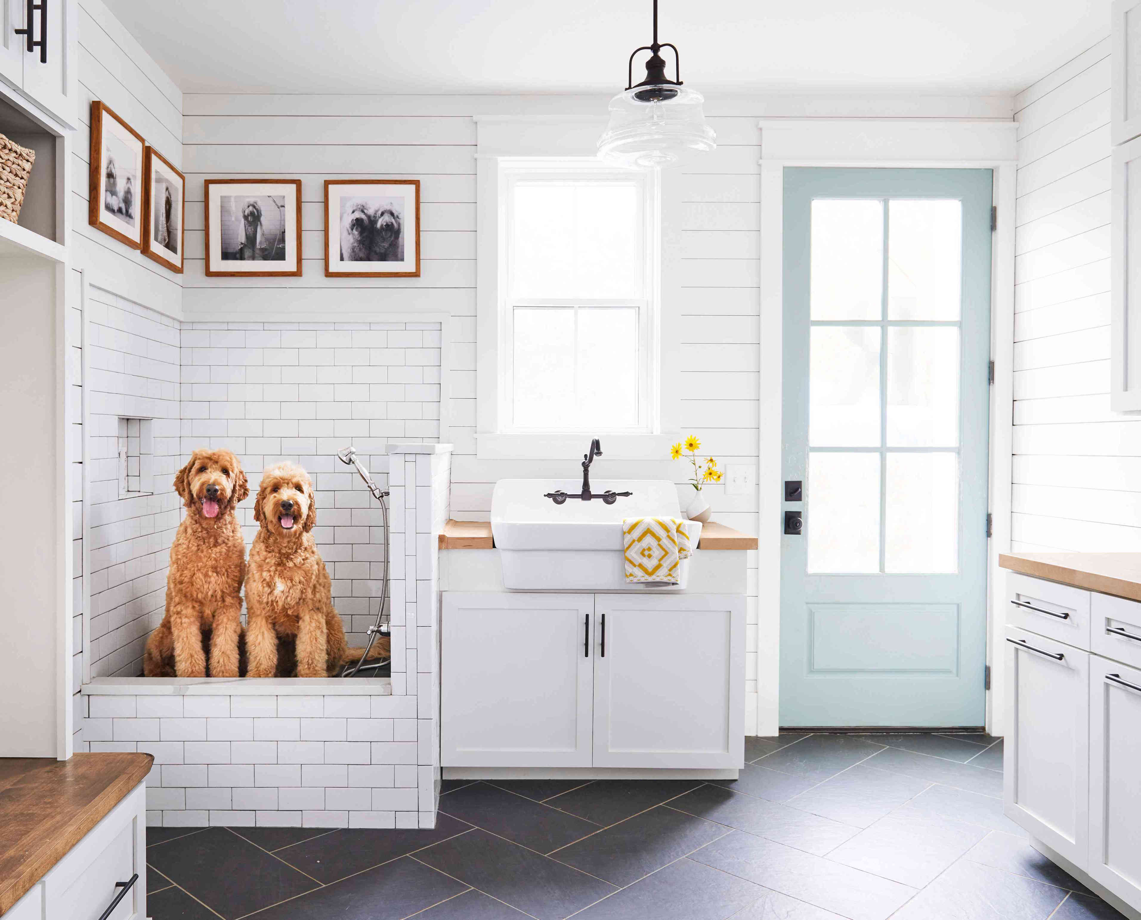 5 common cleaning mistakes that can put your pets at risk