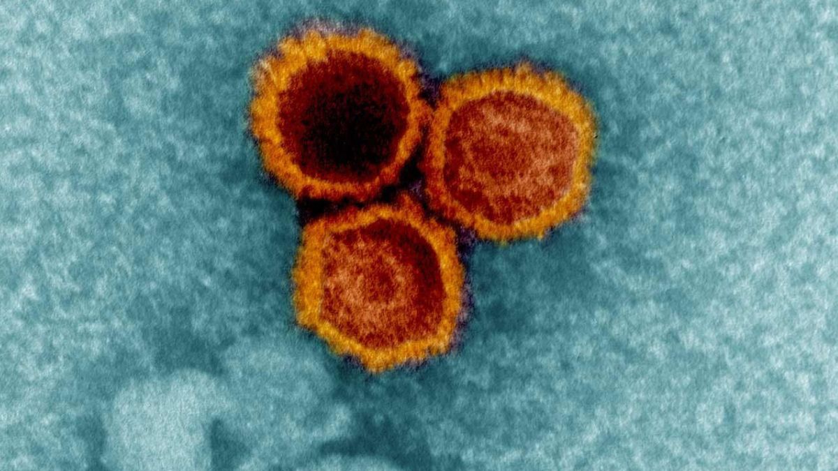 Scientists discover new evidence a common virus helps trigger MS