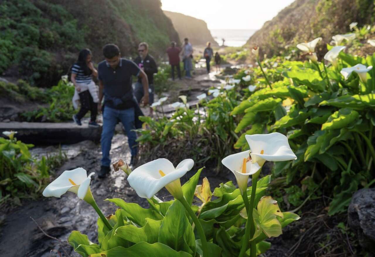 California state park