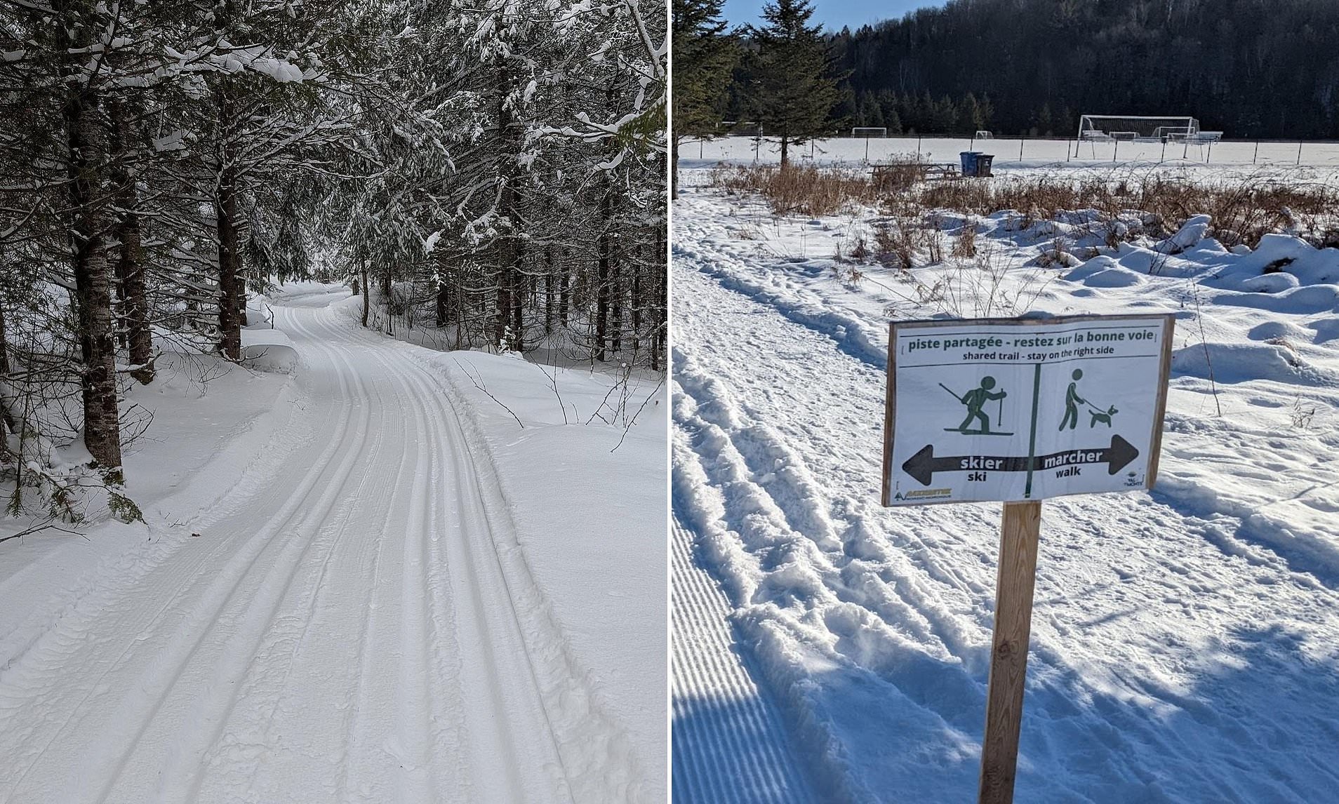 Girl, 4, killed in freak sledding accident while being pulled through ...