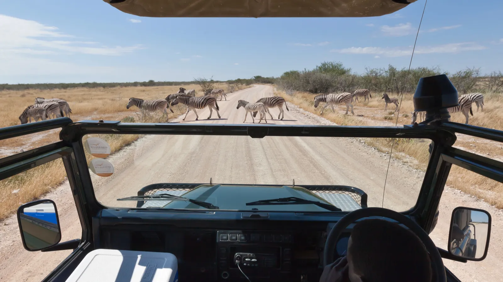 Explore roaming animal habitats from your car at a wildlife safari ...