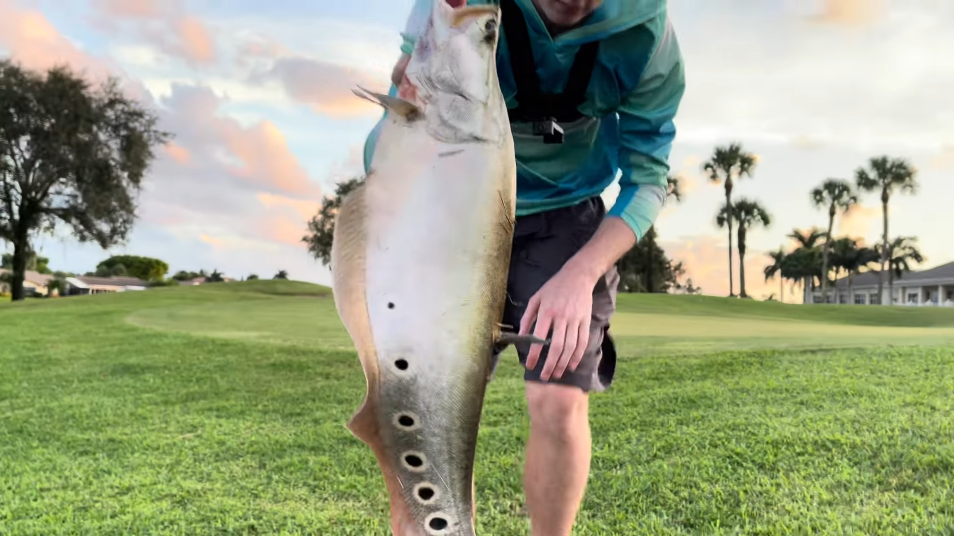 Watch what happens when we catch knifefish